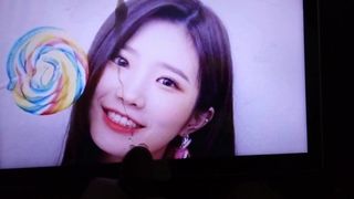 FROMIS 9 - Hayoung - cum tribute 1