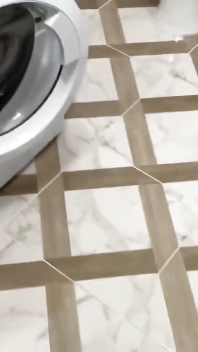 Alone in the Bathroom with My Older Stepsister After a Family Dinner