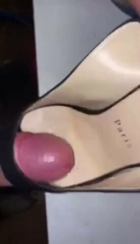 Louboutin chienne