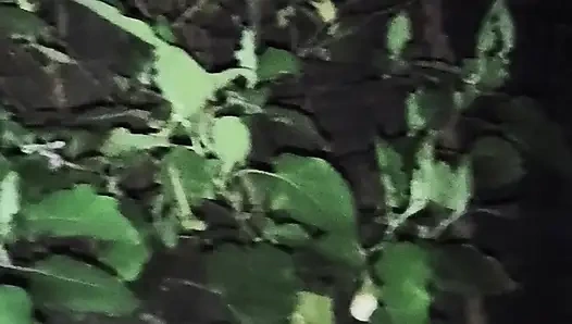 Einfaches leben bei mir zu hause