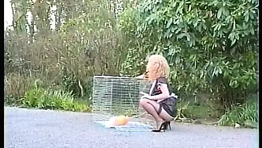 Nilon hitam di tangga