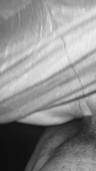 Trong rừng chơi cu