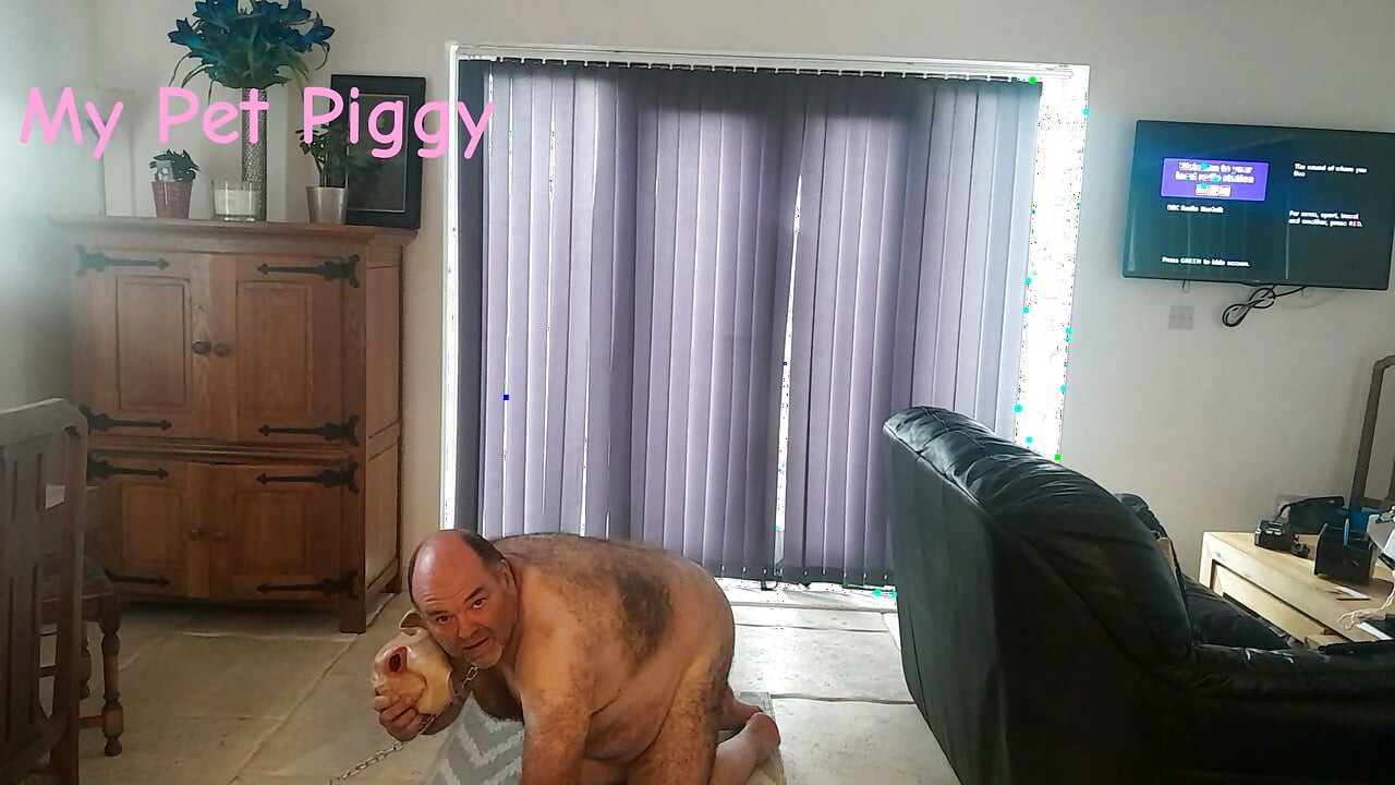 Training my new Pig