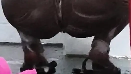 Desi bhabhi nahati huye kitni achi lagti hai