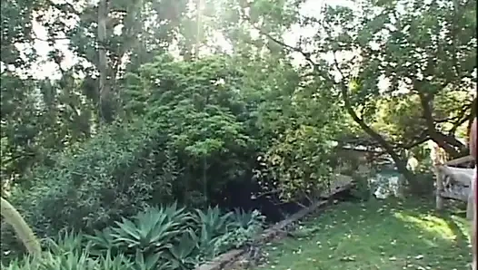 Sexy young couple pussy fucking in the forest