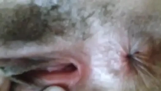 Egyptian Algerian woman plays with her fond pussy until she fucks, an Arab pussy full of hair