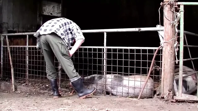 Farmer Gets a Visit to Fuck and Blow