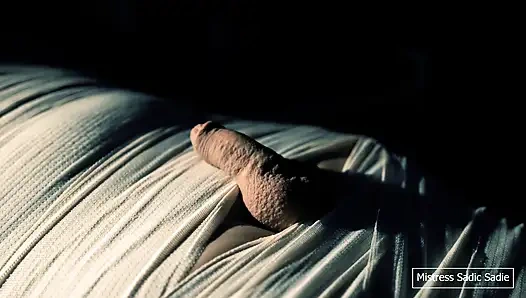 Mumyalama, İğne, CBT ve Elektro Oyun ile Tıbbi Oyun.