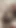 Fucked, sucked, cock sucked, riding, bouncing, doggy style, various positions fucking with my stepsister | Clip 1