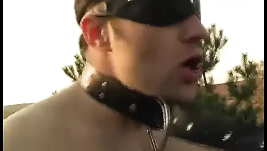 Slave kept on a leash doggyfuck her mistress