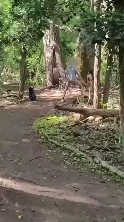 Jaag op GENTLYPERV! Afspraak maken in het bos. Zal ik die GROTE Lul kunnen vinden? | Clip 2