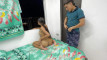 Pratinjau video