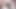 anal prenses ırklararası köpek
