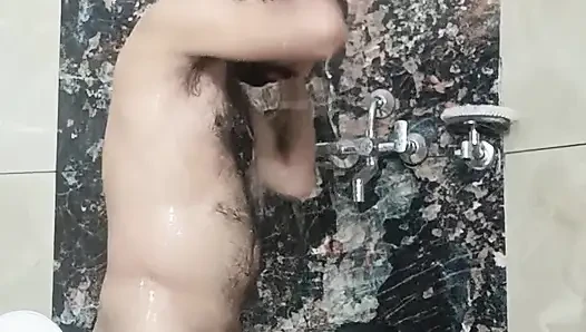 América Latina, leste e sudeste da Ásia, southernmiddle eaakistani árabe papai europeu americano papai velho