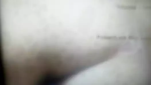 Sltribute2