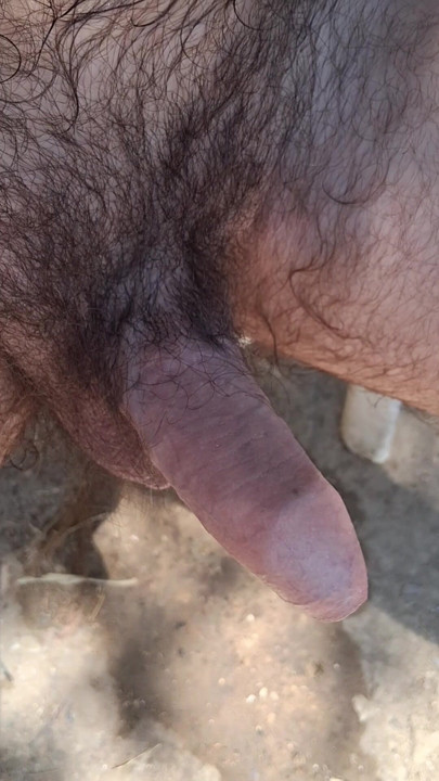 Nice hairy penis getting hard