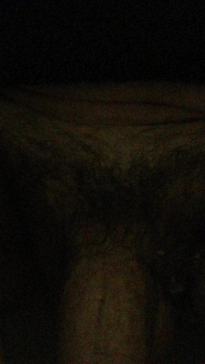 My cock