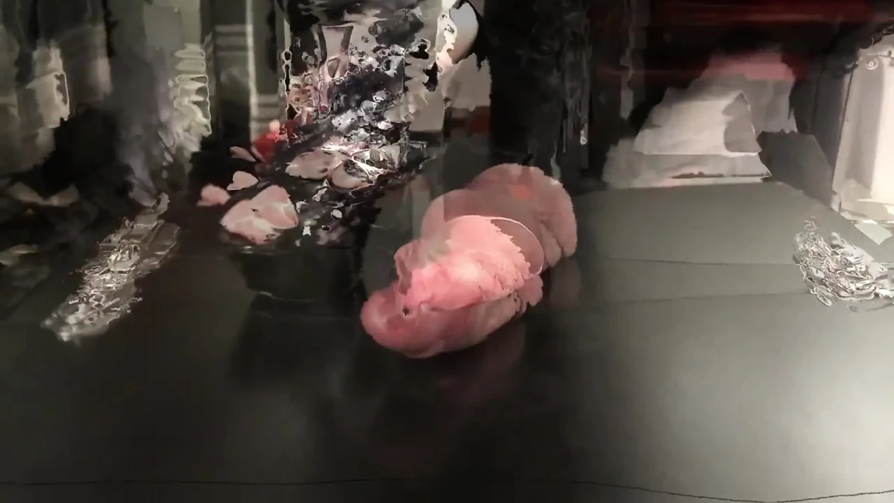 男奴隶被困在践踏桌子Cbt板下，在他的女主人的鞋子下虐待鸡巴