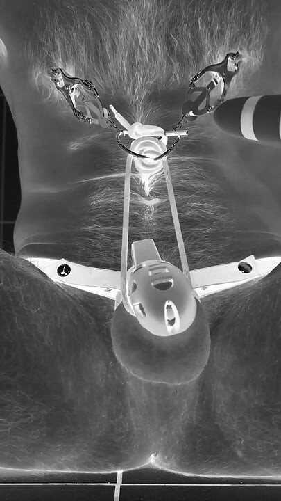 Multiple ruined orgasms in chastity cage with 30cm long penis plug