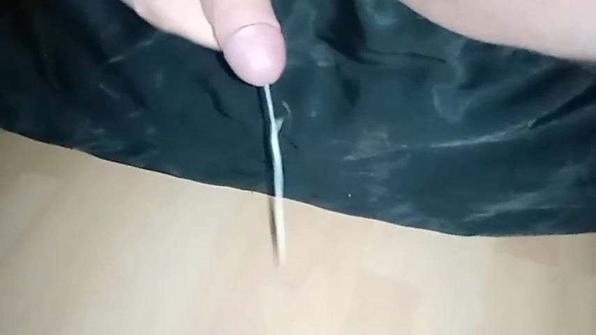 Veliki medved debeli cumload