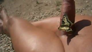 Str8 vlinder
