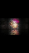Anteprima video