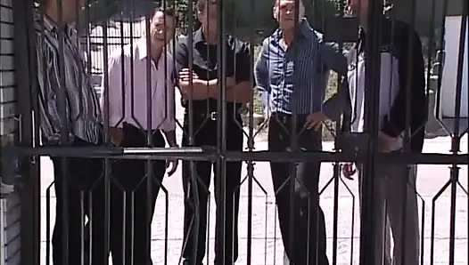 Amazing MILF Fucked by Big Cocks During Aperitif