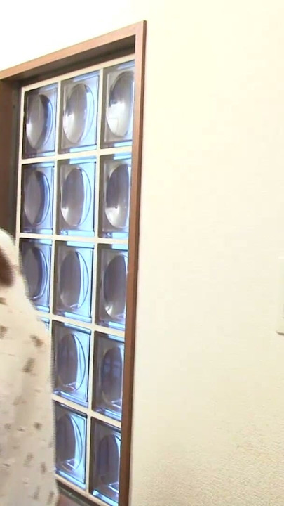 Thai hat schule geschwaenzt dafuer muss sie blasen und schlucken | Clip 1