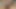 オフィスラビット