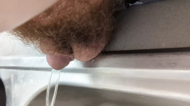 Another bear cub pissing video