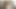 EDGEWORTH JOHNSTONE censored Amateur Cam Films Big Anal Dildo Fucking
