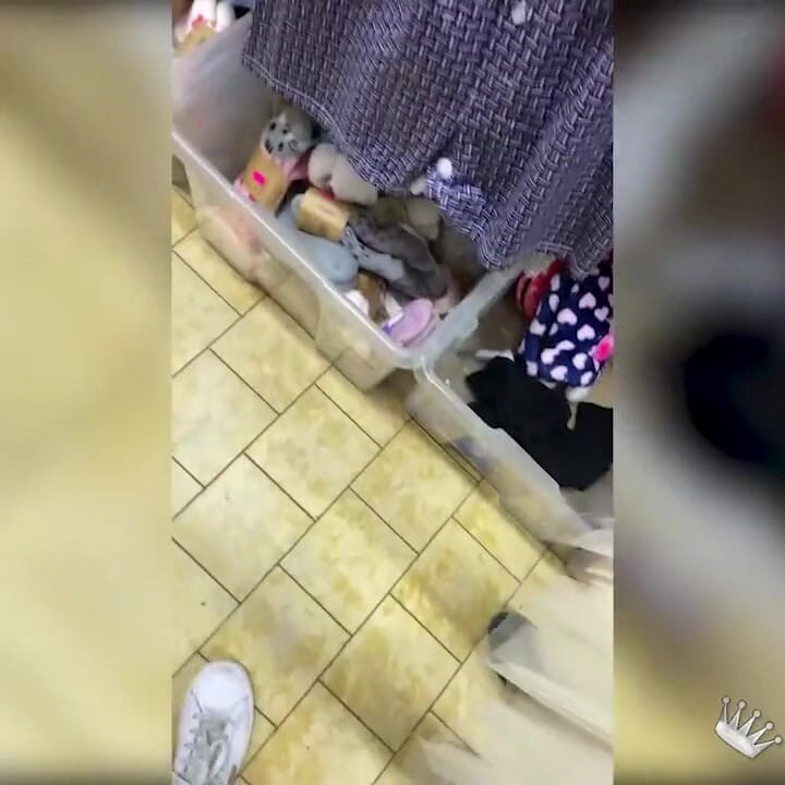 Young but not shy teen enjoys a dose of showing in a shop and the street!