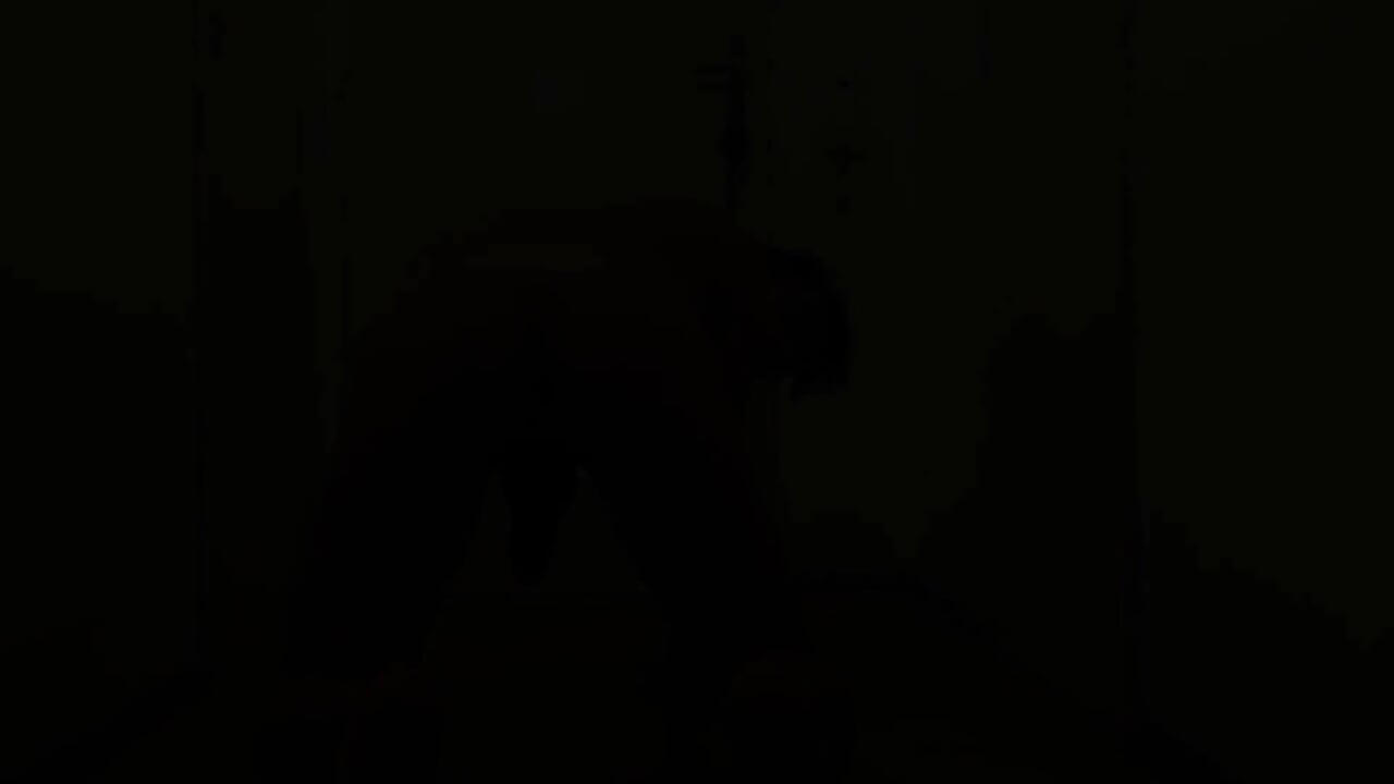 Doggy Style Barebacked and Creampied