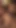 Chocolate Vanilla Cum Eaters Vol 3