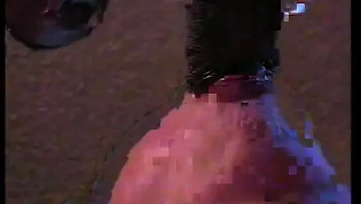 Peach girl loves to put big cocks in her mouth
