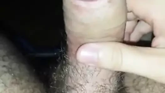 Güzel döl