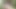 美しい曲線