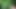Trans Girl Jacking in the Weeds