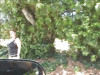 Pratinjau video