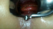 Pratinjau video