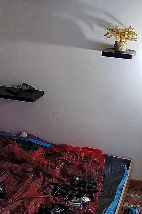 Lateks anal sokma partisi 2