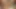 Dua teman sekamar afrika yang sange ngentot untuk pertama kalinya setelah berbagi apartemen yang sama bagian b