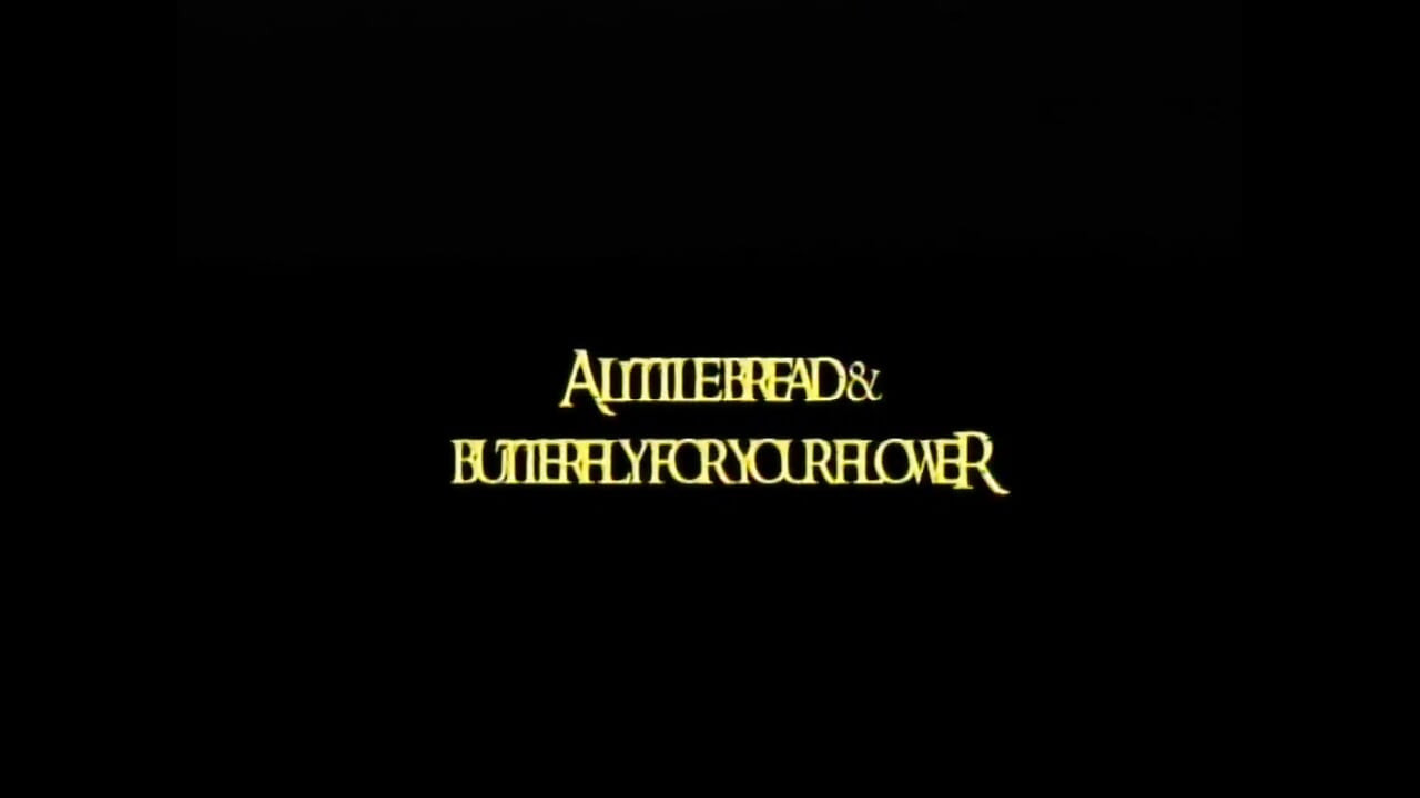 John Holmes the Wild Lover