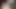 My girlfriend giving wonderful blowjob and deepthrout