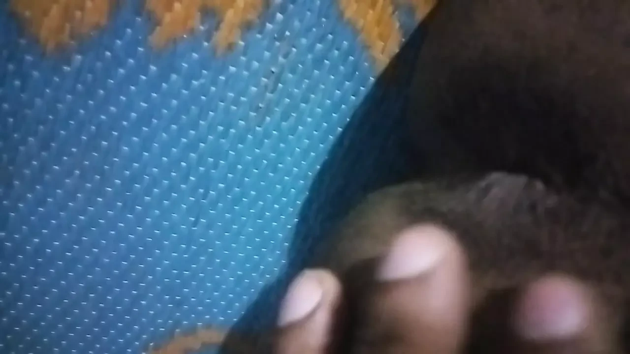 Ragazzo indiano con ragazza magra l così sexy l primo piano l indiano india primo piano video indiano l masturbazione