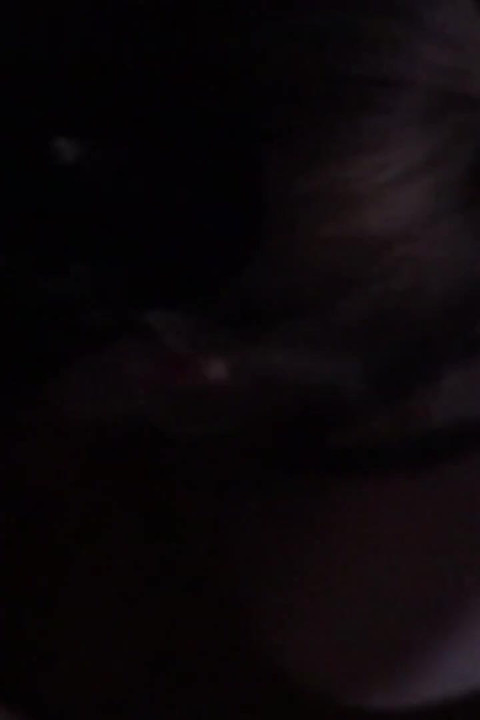 An Obedient, Hot MILF Plays with Nipple Clamps, Follows Orders, and Sucks Cock While Dressed as a Cat - Lovessie