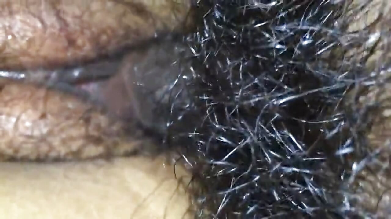 Hairy pussy and big pinus porn