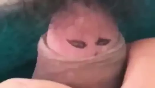 saygılı ol