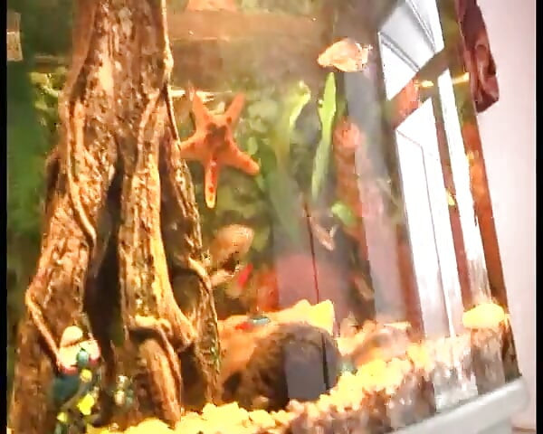 Fucking Brunette with Big Tits in Casting Until She Takes Creampie