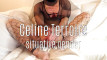 Pratinjau video